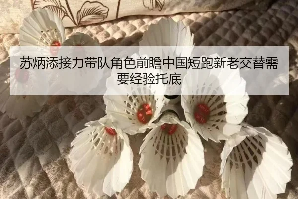 su-bing-tian-jie-li-dai-dui-jue-se-qian-zhan-zhong-guo-duan-pao-xin-lao-jiao-ti-xu-yao-jing-yan-tuo-di-1-490.jpg